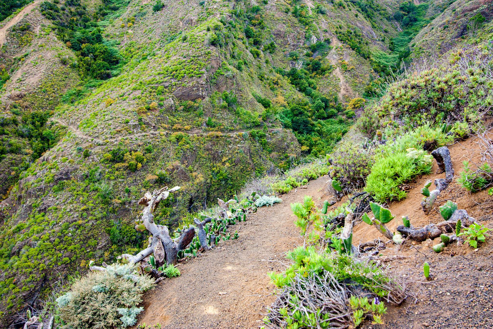 Cruz del Carmen hike in Anaga mountains, Tenerife
