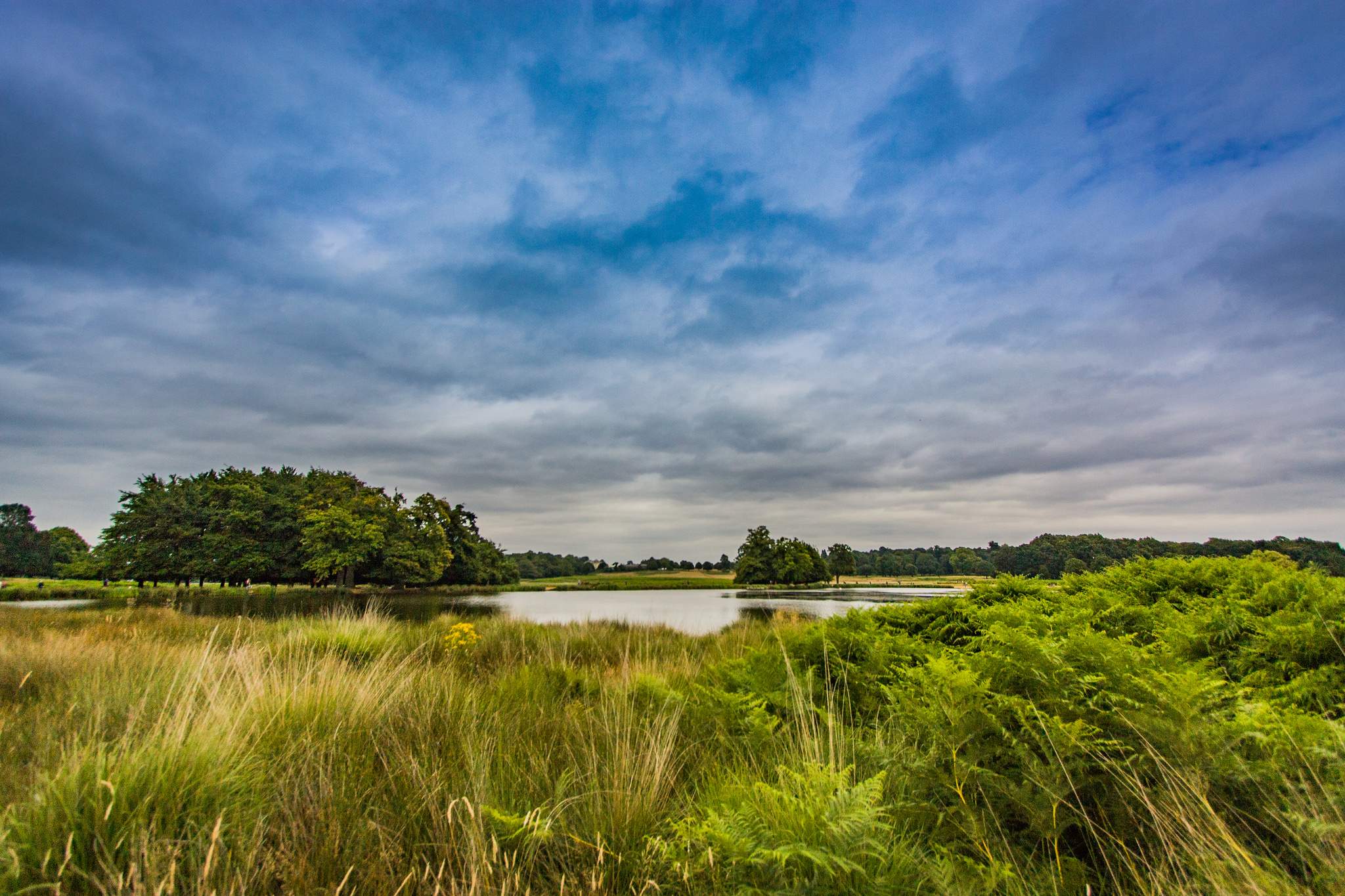One of the many stunning views in Richmond Park, London