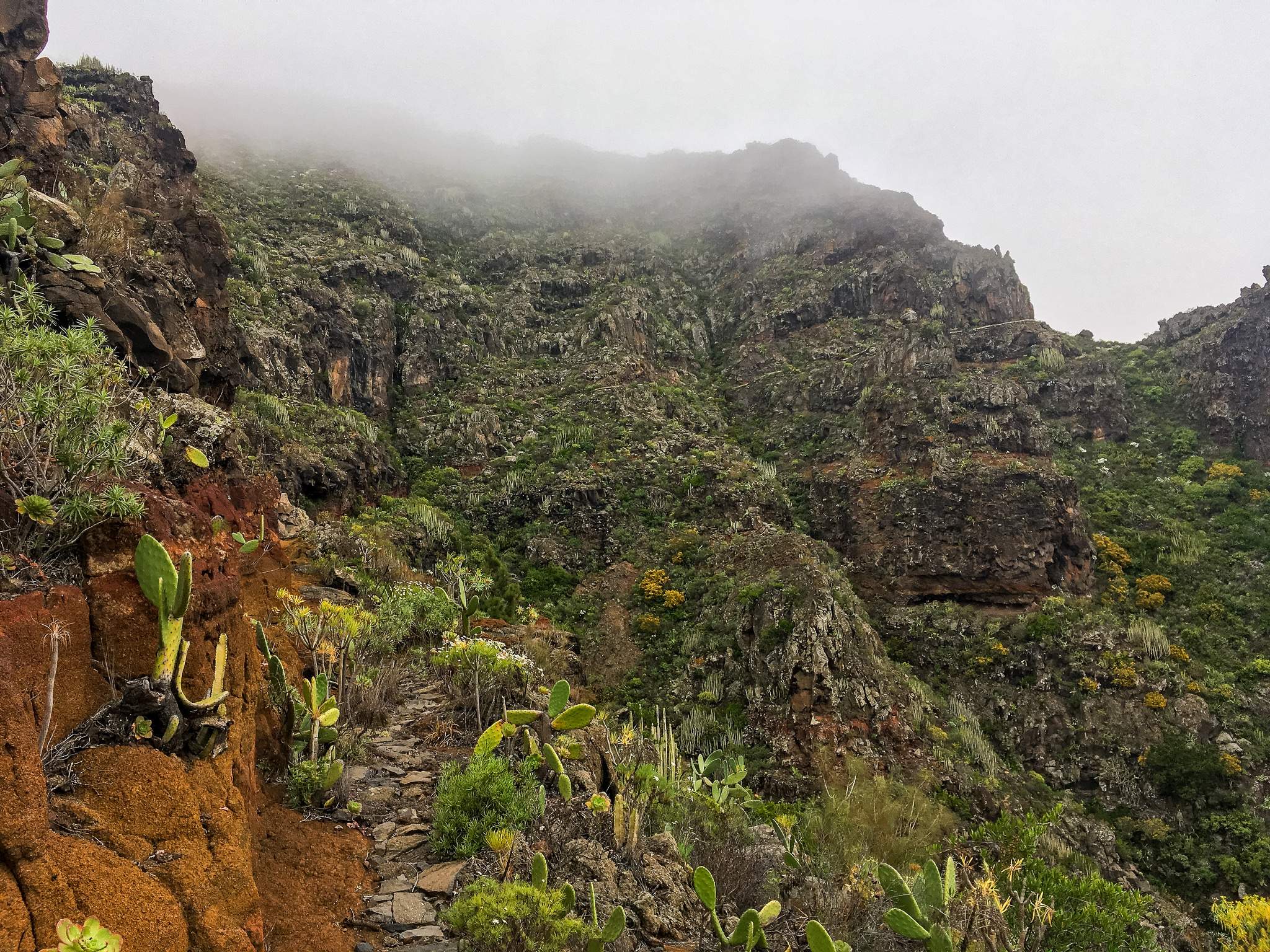 A very moody section of my trail, with fog, curvy and rocky paths, Tenerife