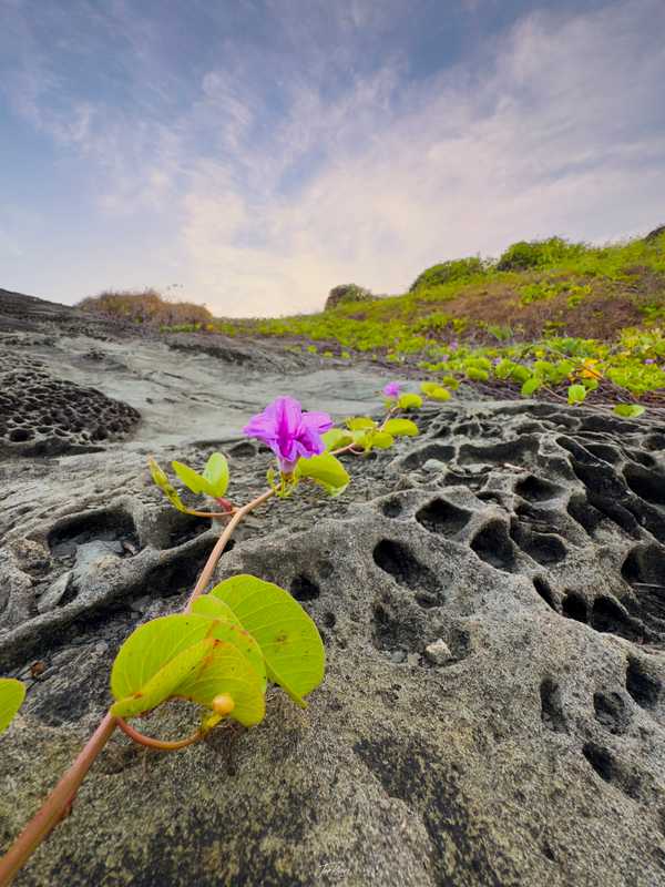 Photo from Philippines album