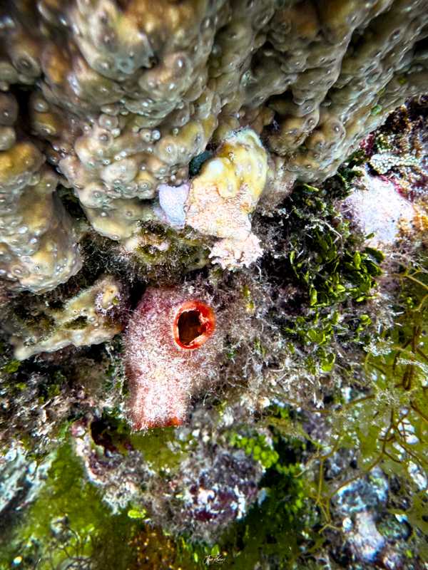 Photo from Philippines album