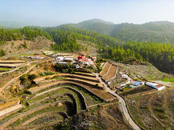 Photo from Tenerife album