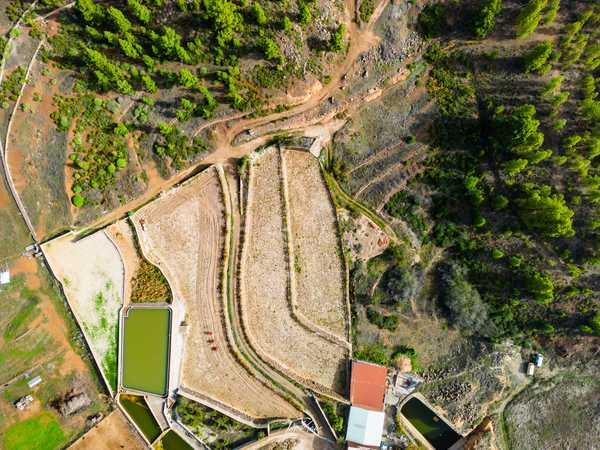 Photo from Tenerife album