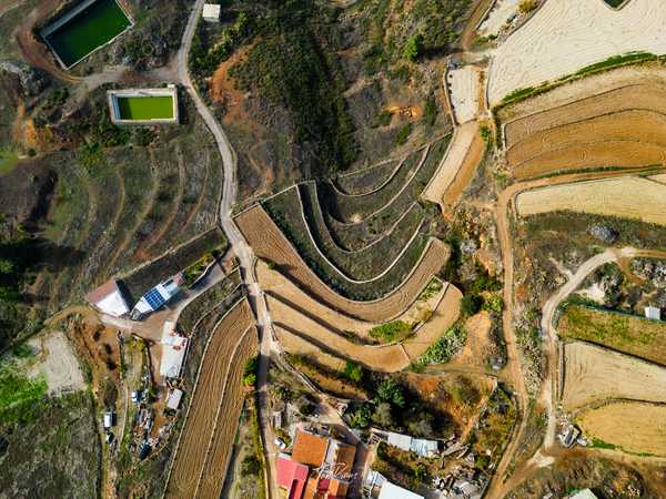 Photo from Tenerife album