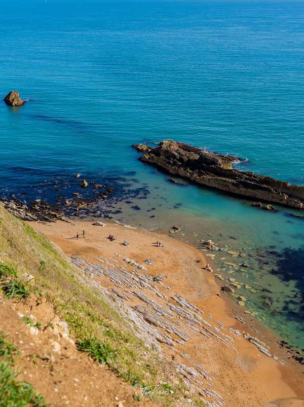 Photo from Dorset and Dartmoor album