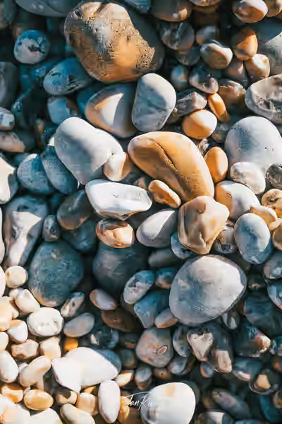 A photo from the album Dorset and Dartmoor