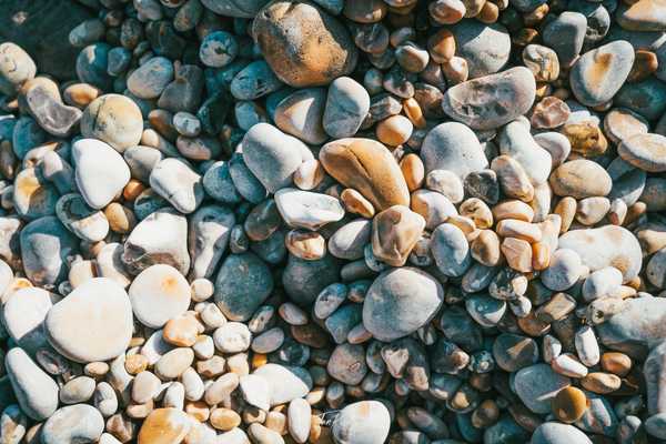 Photo from Dorset and Dartmoor album