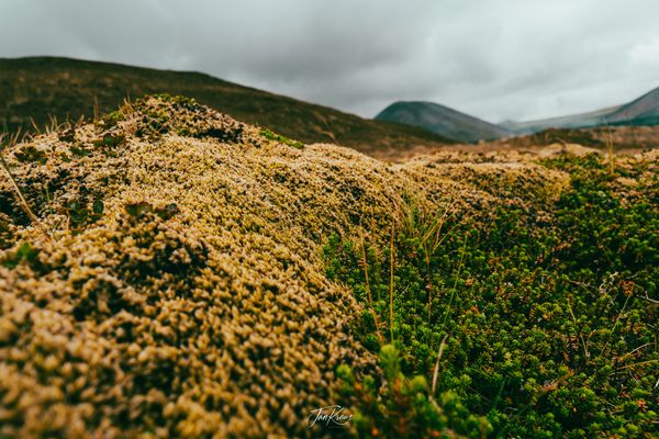 Photo from Iceland album