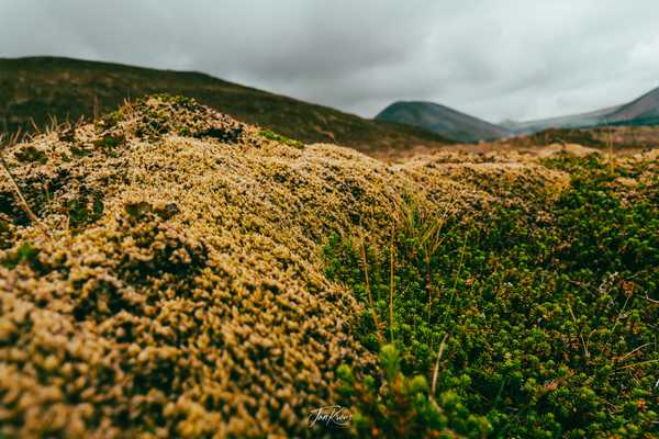 Photo from Iceland album