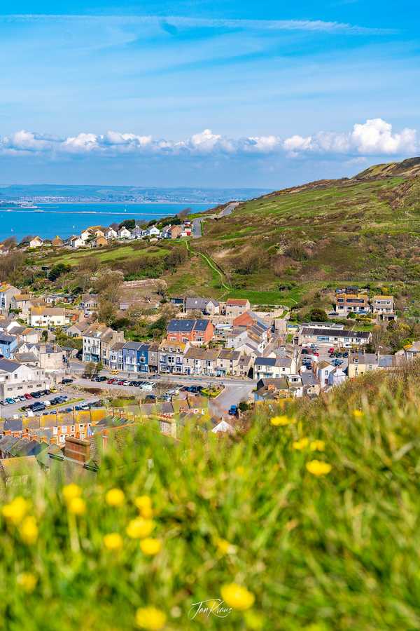 Photo from Dorset and Dartmoor album