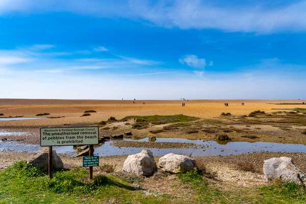 Photo from Dorset and Dartmoor album