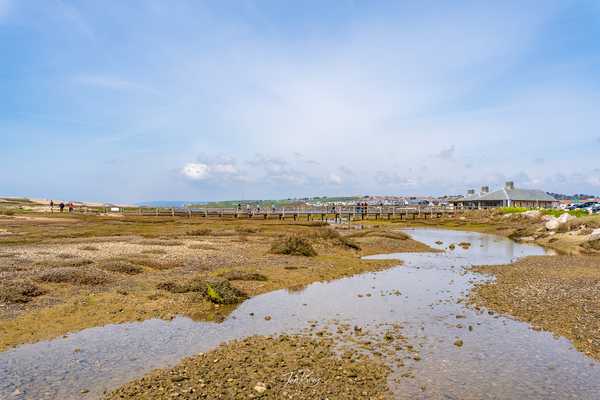 Photo from Dorset and Dartmoor album