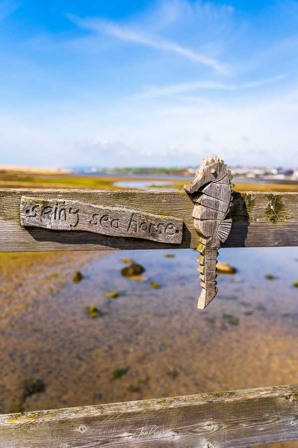 Photo from Dorset and Dartmoor album