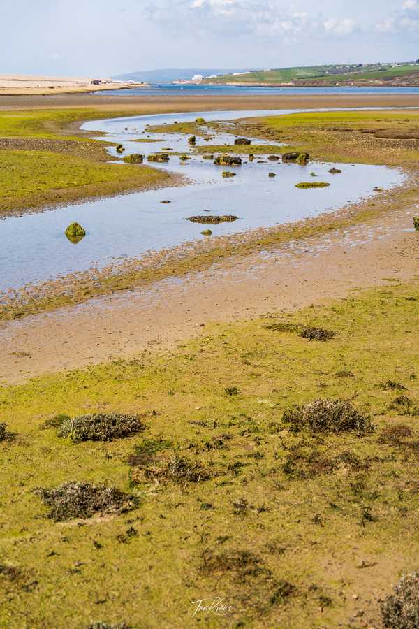 Photo from Dorset and Dartmoor album