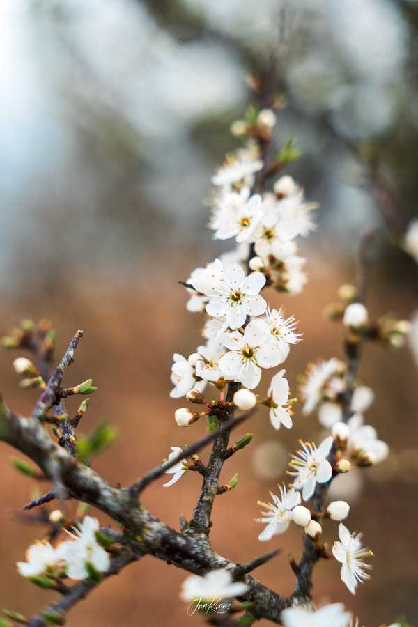 Photo from Dorset and Dartmoor album