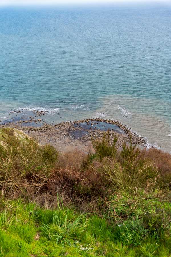 Photo from Dorset and Dartmoor album