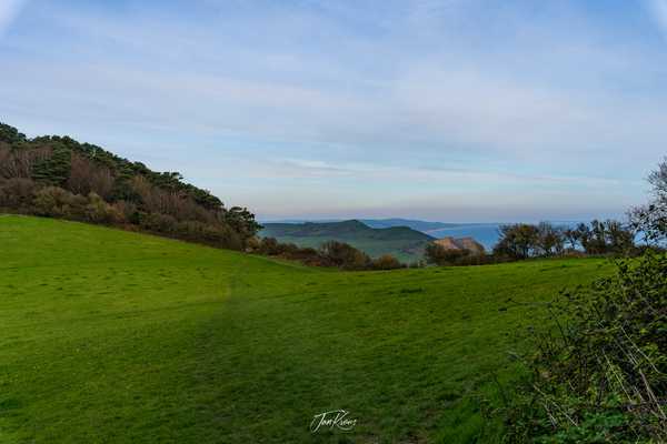 Photo from Dorset and Dartmoor album