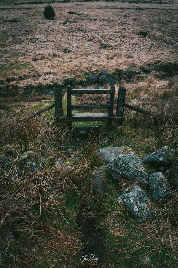 Photo from Dorset and Dartmoor album