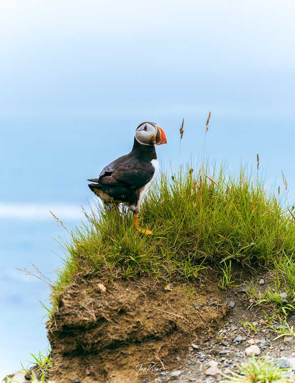 Photo from Iceland album