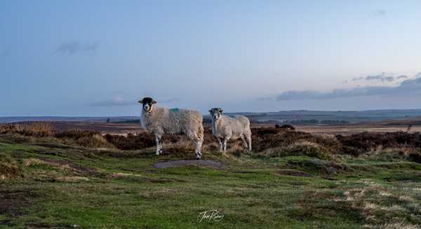 Photo from Peak District album