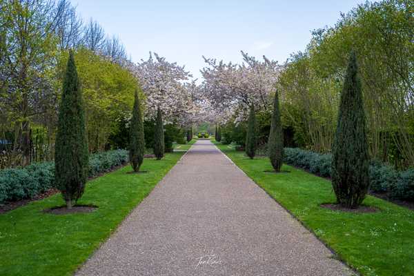 Photo from London album