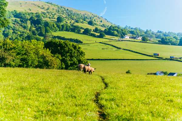 Photo from Brecon Beacons album