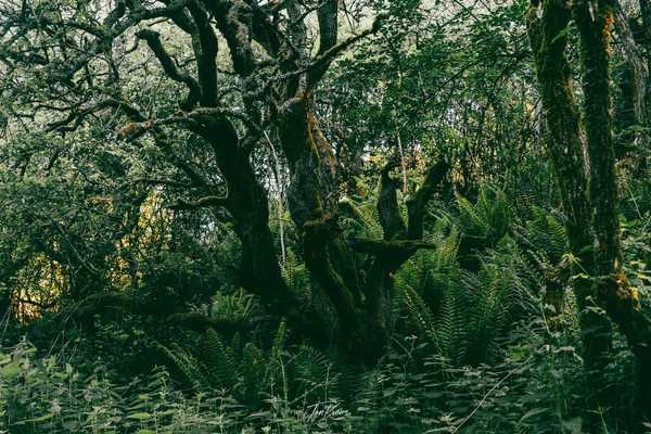 Photo from Brecon Beacons album