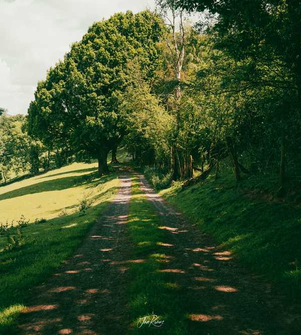 Photo from Brecon Beacons album