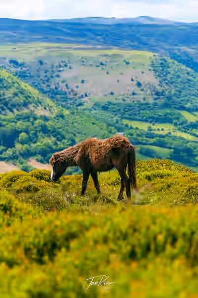 A photo from the album Brecon Beacons