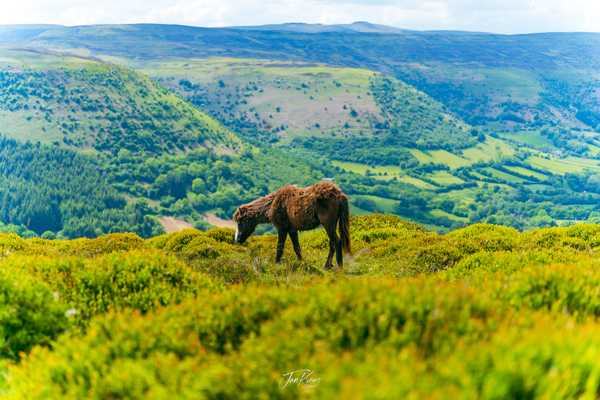 Photo from Brecon Beacons album