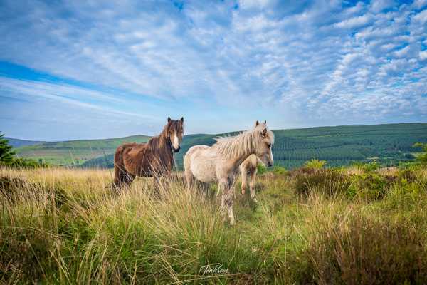 Photo from Brecon Beacons album