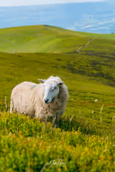 A photo from the album Brecon Beacons