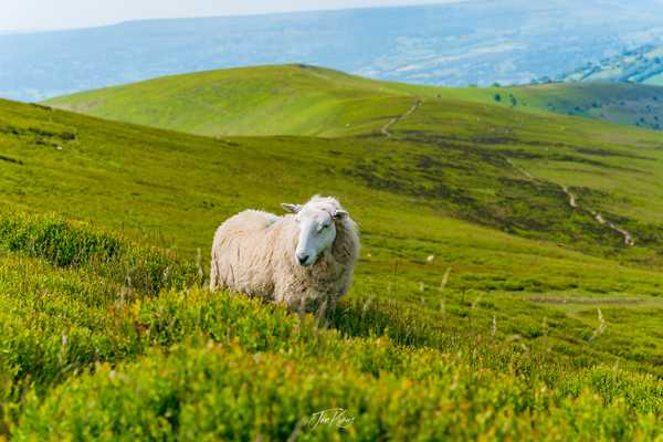 Photo from Brecon Beacons album