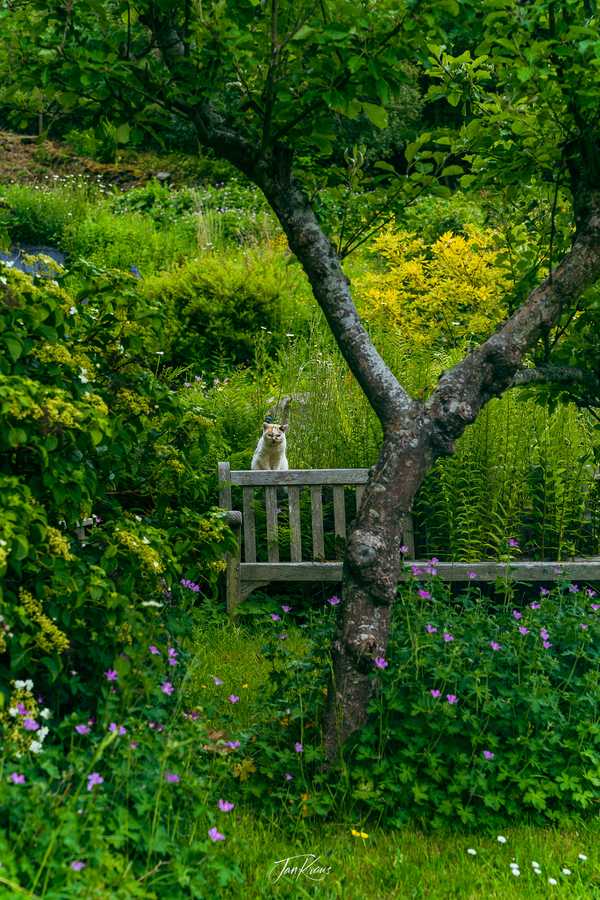 Photo from Brecon Beacons album