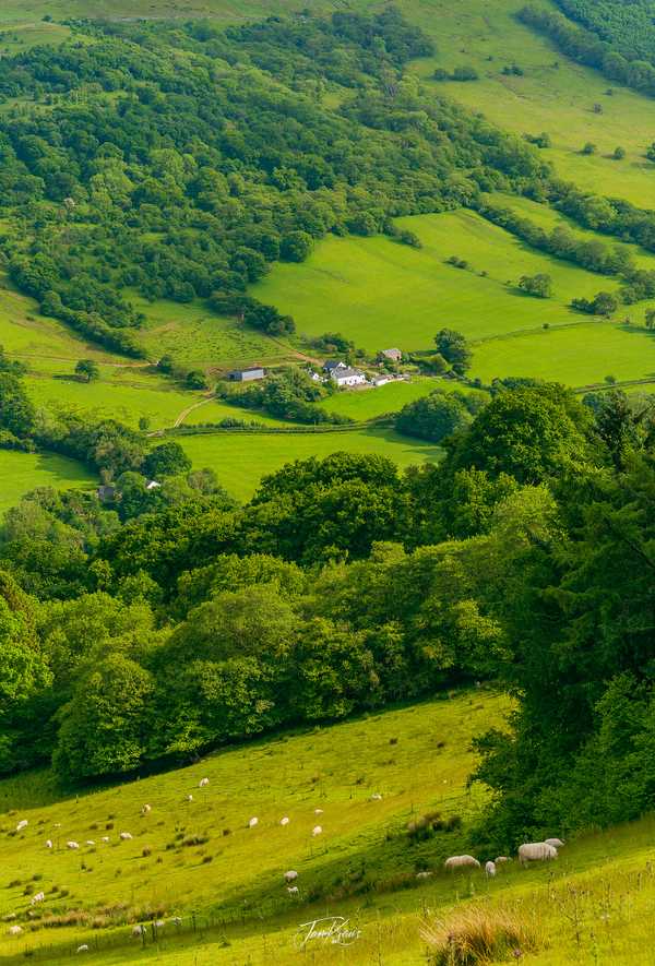 Photo from Brecon Beacons album