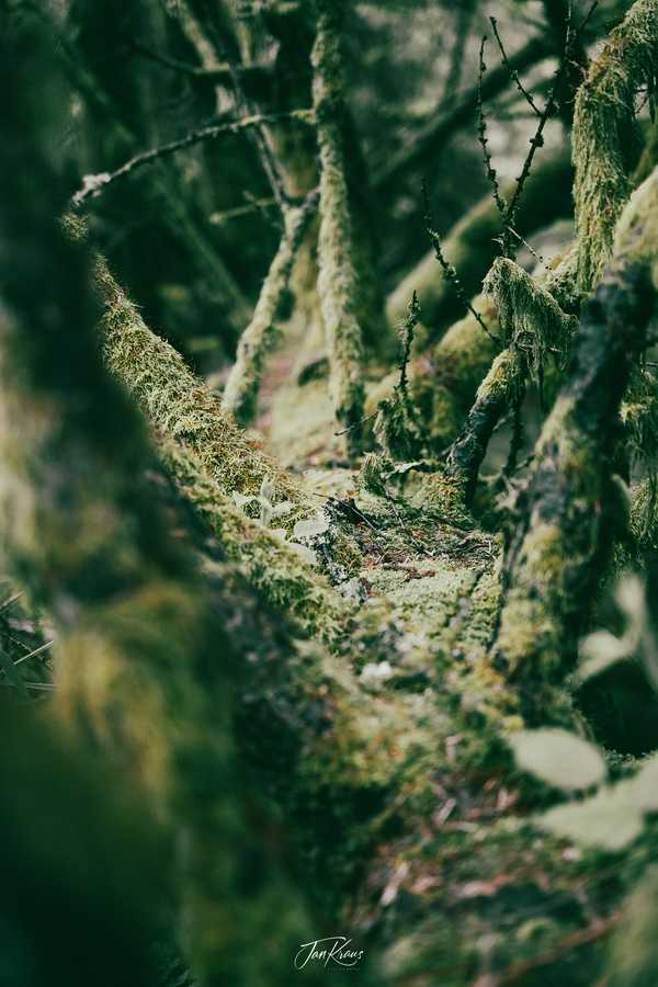 Photo from Brecon Beacons album