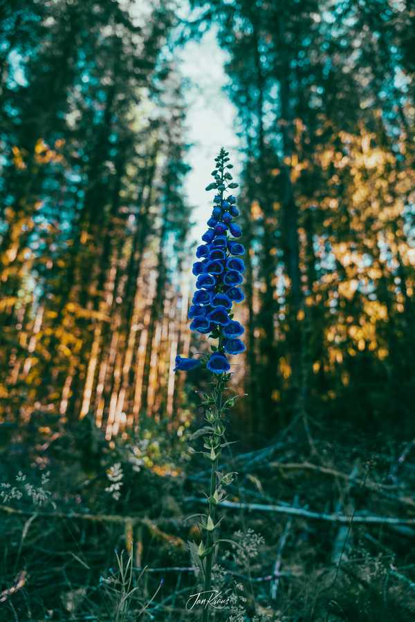Photo from Brecon Beacons album