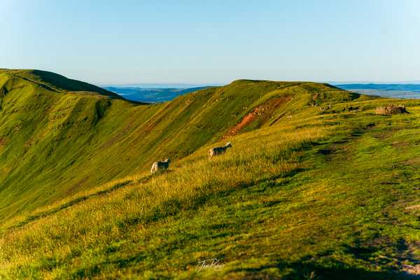Photo from Brecon Beacons album