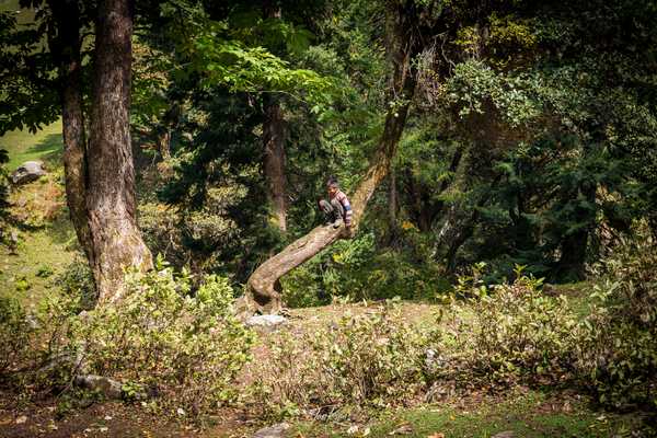 Photo from Hampta Pass album