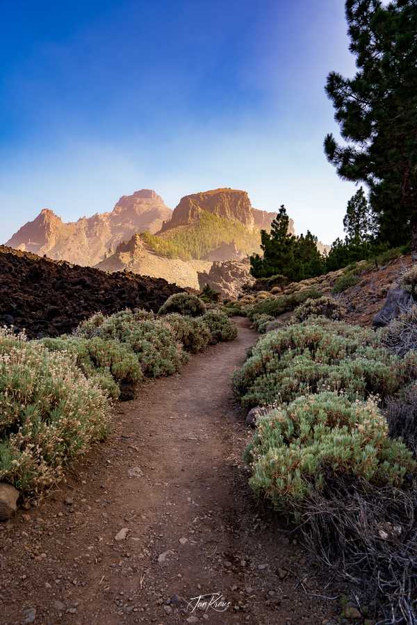 Photo from Tenerife album