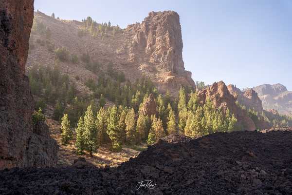 Photo from Tenerife album