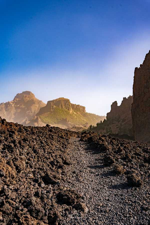 Photo from Tenerife album