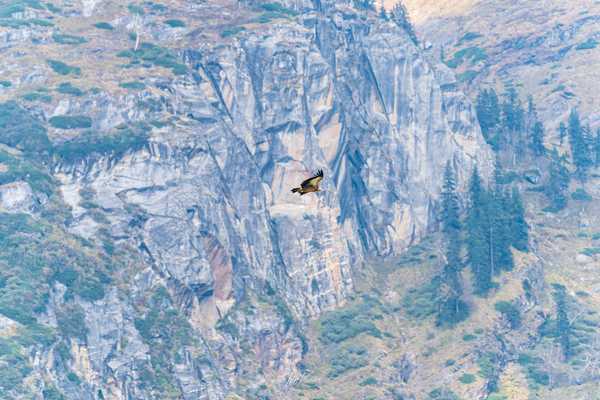 Photo from Hampta Pass album