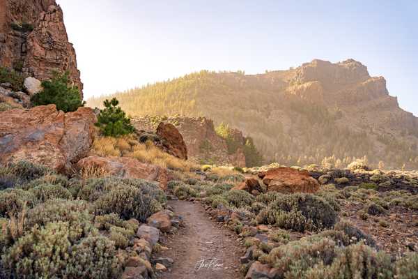 Photo from Tenerife album