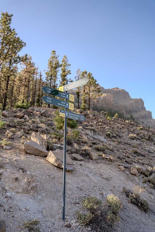 Photo from Tenerife album