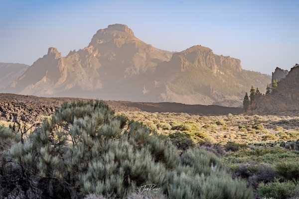 Photo from Tenerife album