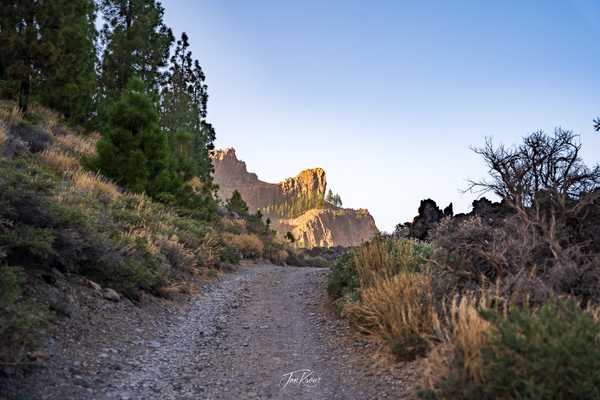 Photo from Tenerife album
