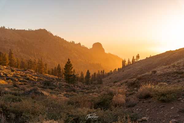 Photo from Tenerife album