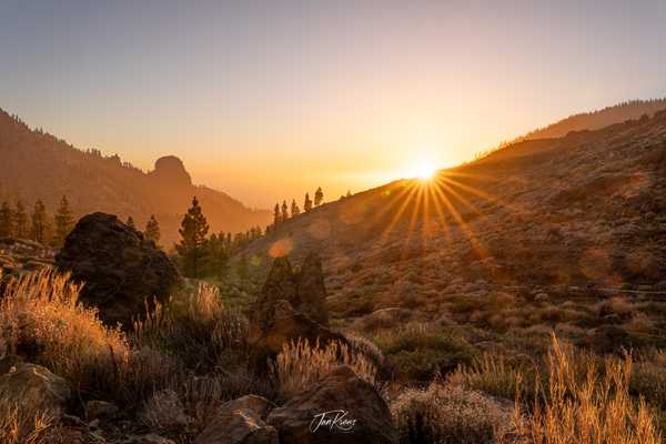 Photo from Tenerife album
