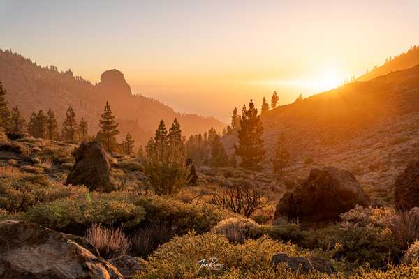 Photo from Tenerife album